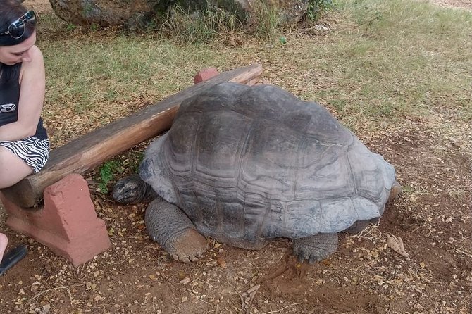 Haller Park Tour observing hippos, giraffes, birds, monkeys, crocs & others - Key points at a glance
