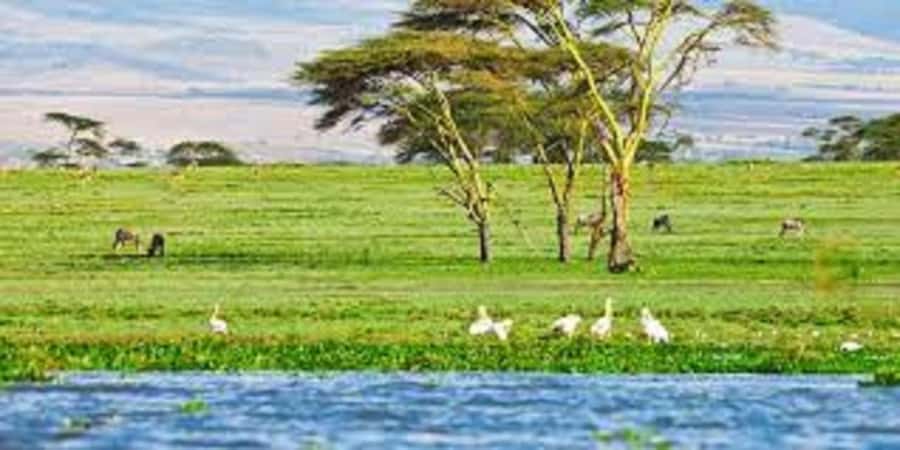 HELL'S GATE AND LAKE NAIVASHA BOAT RIDE FROM NAIROBI. - The real price, not just the advertised $75