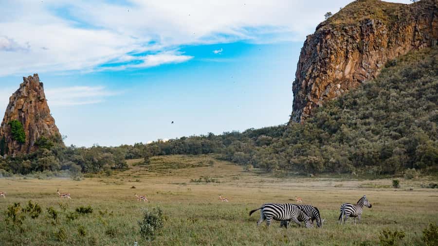 Hell's Gate & Lake Naivasha: Bike Tour, Hike & Boat Ride - The drive from Westlands to Elsa Gate