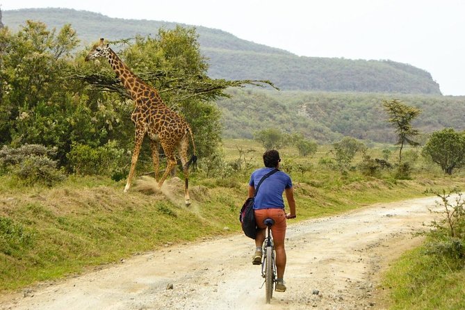 Hell's Gate & Lake Naivasha Small Group Day Tour - Guaranteed Daily Departure - Why this makes a strong day trip from Nairobi