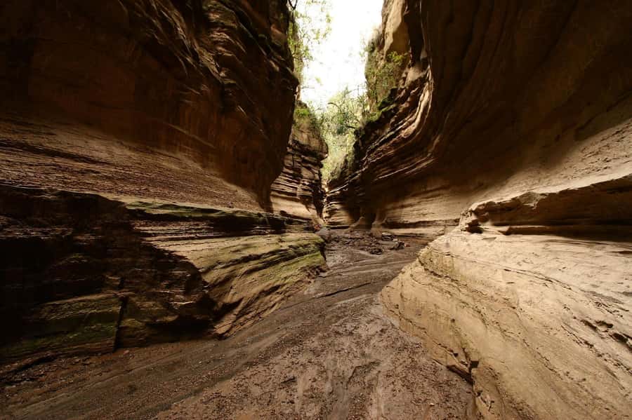 Hell's Gate National Park And Lake Naivasha Day Trip - Leaving Nairobi for the Rift Valley