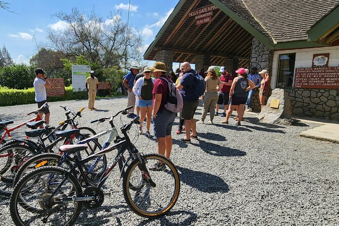 Hell's Gate National Park and Lake Naivasha Private Tour - Lake Naivasha and the optional one-hour boat ride