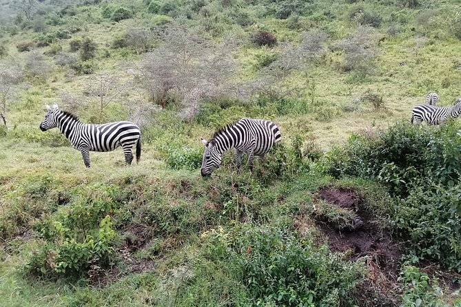 Hell's Gate National Park Private Bike Tour from Nairobi - Lunch at Naivasha Fisherman’s Camp