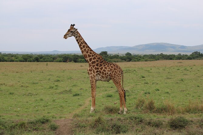 Hell's Gate National Park Private Bike Tour from Nairobi - Who Will Enjoy This Private Day Trip