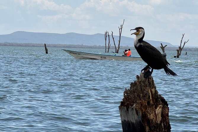 Hell's Gate Park and Lake Naivasha Day Tour - The Great Rift Valley drive and Mount Longonot viewpoint