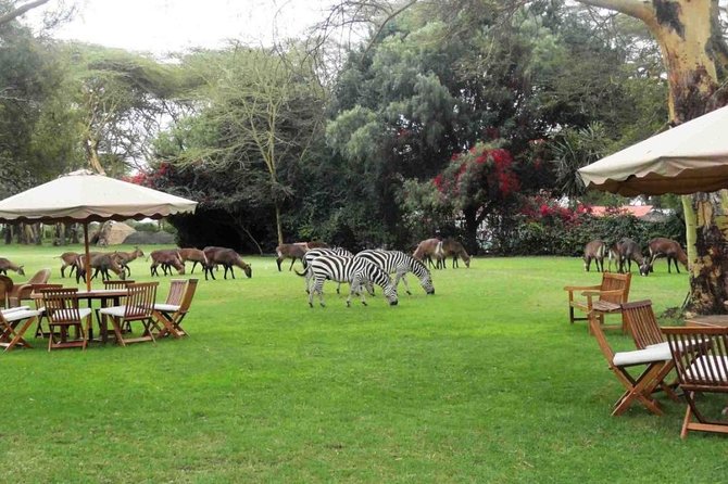 Hells Gate Excursion in Naivasha - Lake Naivasha, hippos, and the possible boat extension