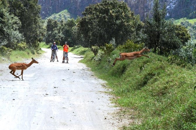 Hells Gate Excursion in Naivasha - How the $95 price measures up