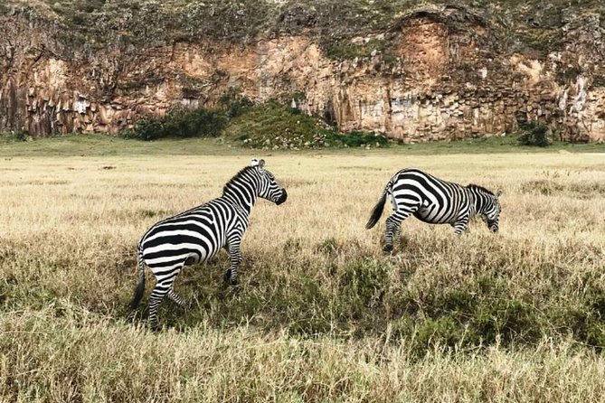 Hells Gate Excursion in Naivasha - Guides, safety, and the private-group advantage