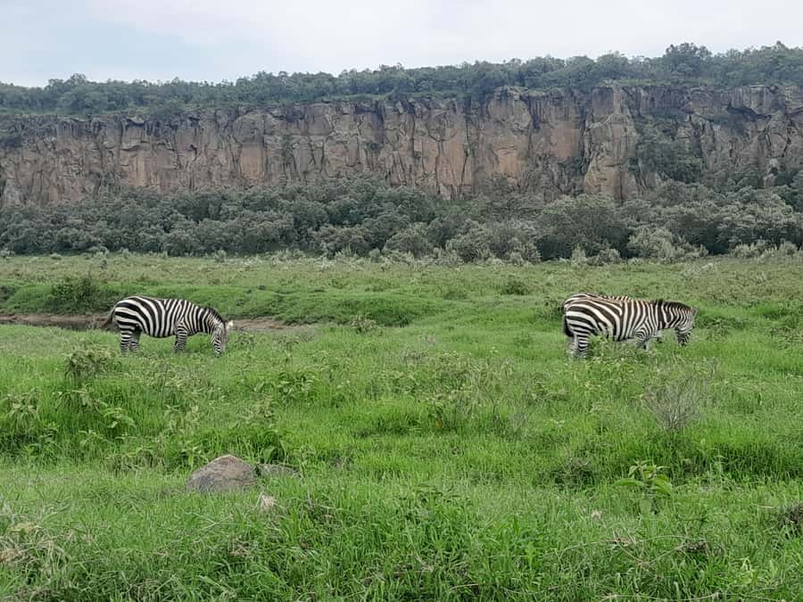Hells Gate National Park and Lake Naivasha Day Tour - Key things to know before you book
