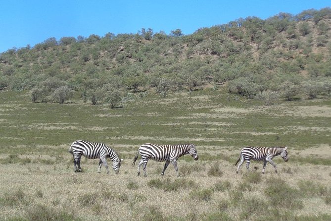 Hells Gate National Park Day Trip - How the private format affects the day