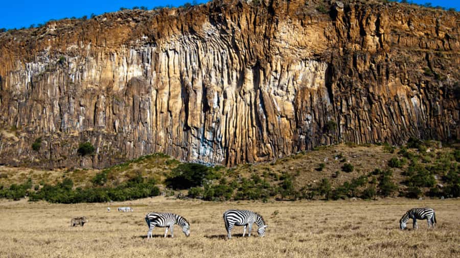 Hells Gate National Park & Lake Naivasha Boat Ride - Key points to know before you book