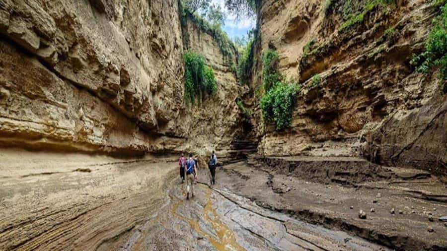 Hells Gate National Park & Lake Naivasha Boat Ride - Why Hell’s Gate feels different from a standard safari