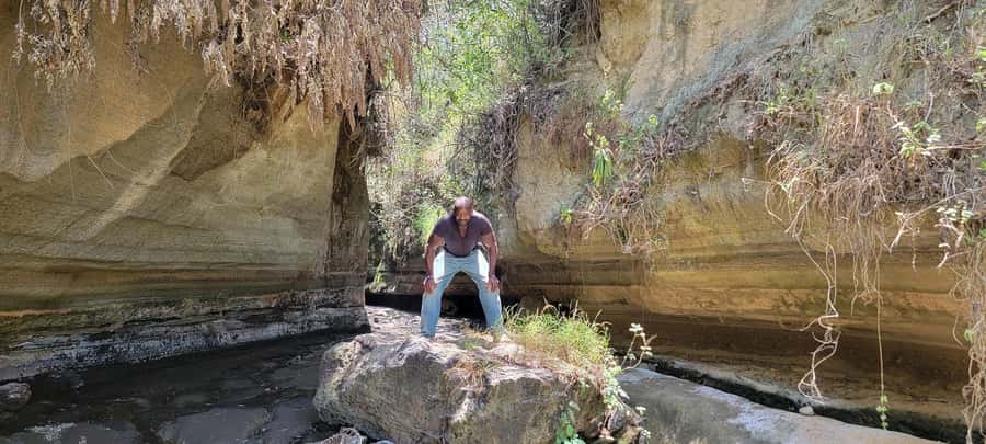 Hells Gate National Park & Lake Naivasha Boat Ride - What the wildlife experience can and cannot promise