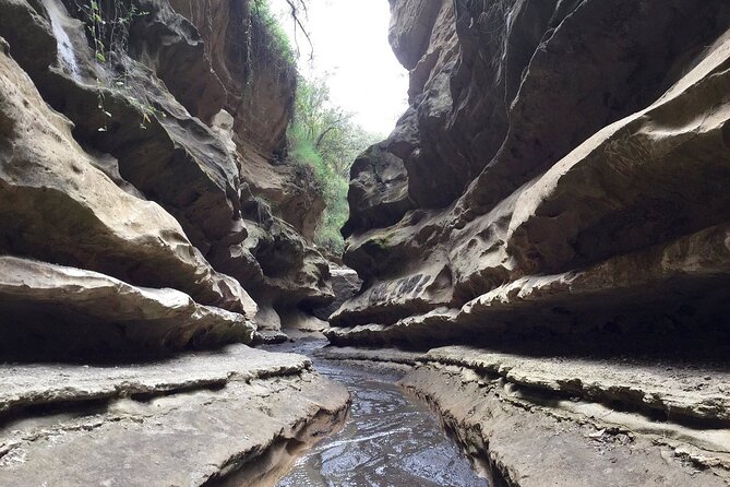 Hells Gate National Park & Lake Naivasha Day Trip from Nairobi - Key points to know before booking