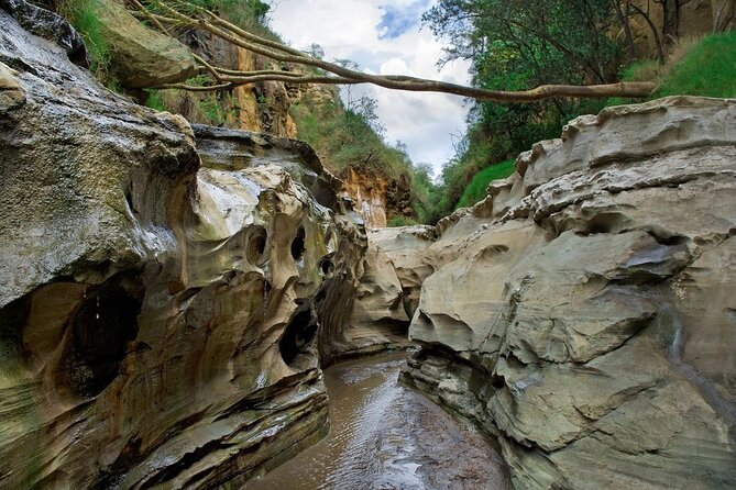 Hells Gate National Park & Lake Naivasha Day Trip from Nairobi - Why this Nairobi day trip works