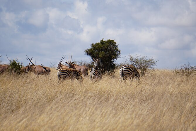 Hells Gate with Hiking Biking Climbing and Camping in Kenya - Starting at Elsa Gate at 7:00 am