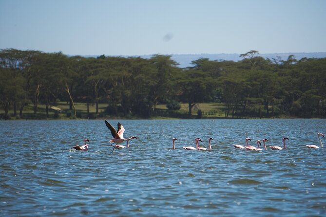 Hells Gate with Hiking Biking Climbing and Camping in Kenya - What makes the guides part of the experience