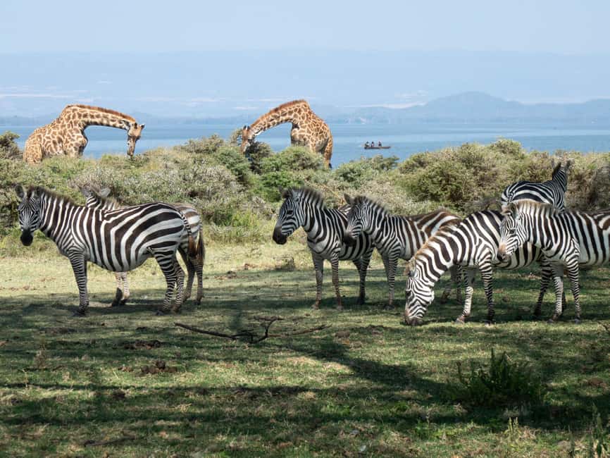 Hellsgate and Lake Naivasha Day Trip from Nairobi - Cycling through Hell’s Gate National Park