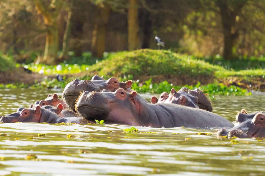 Hellsgate and Lake Naivasha Day Trip from Nairobi - The Great Rift Valley viewpoint sets the scene