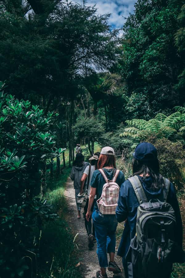 Hike in The Karura Forest - Key points to know before you book