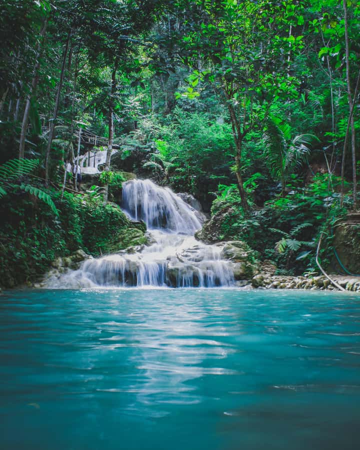 Hike in The Karura Forest - Following the three-hour forest route