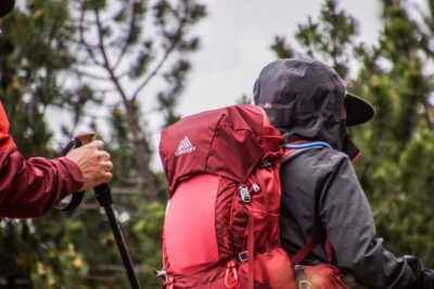Hike in The Karura Forest