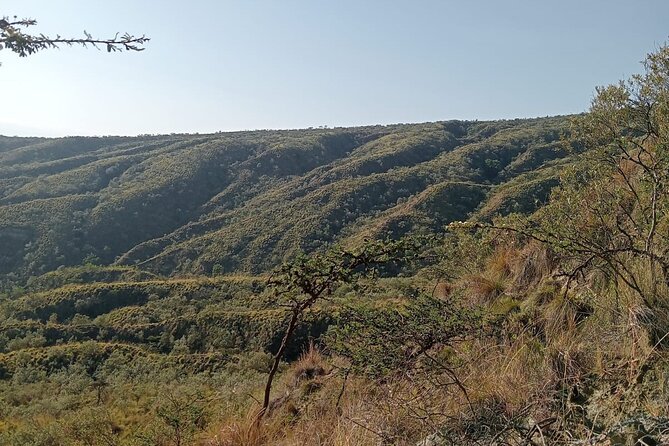 Hiking Trip to Mount Longonot National Park & Lake Naivasha - Why this makes a strong Nairobi day trip