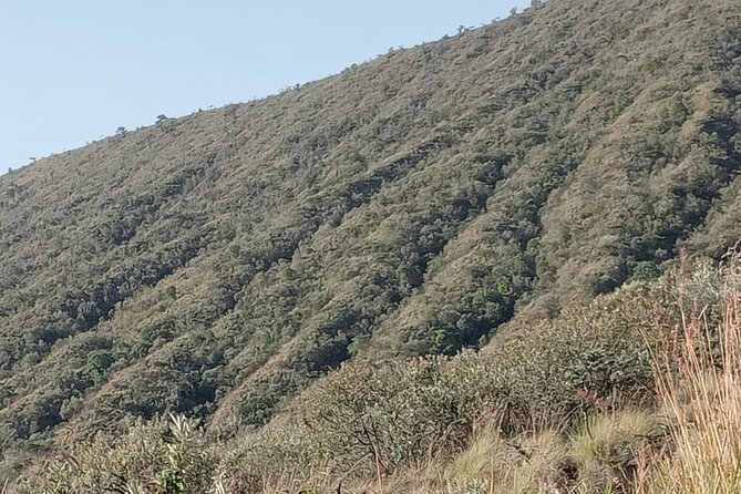 Hiking Trip to Mount Longonot National Park & Lake Naivasha - Lake Naivasha by boat