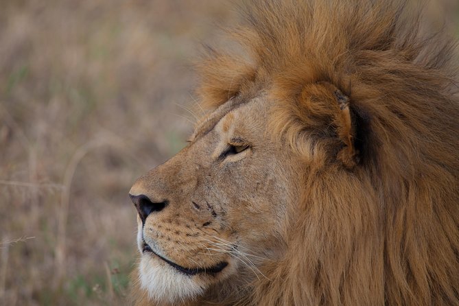 Introducing Kenya Safari Package - What the private vehicle changes