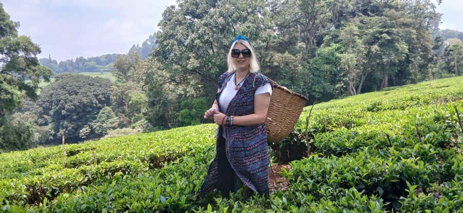 Kaimbethu tea farm tour and lunch package - Walking through tea fields and indigenous forest