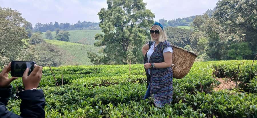 Kaimbethu tea farm tour and lunch package - Practical points that can affect your day