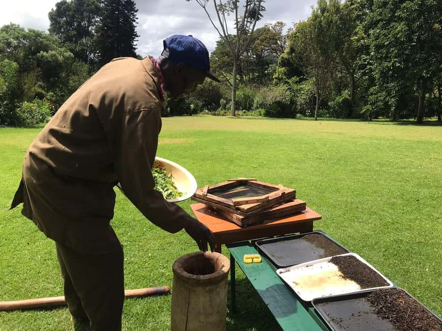 Kaimbethu tea farm tour and lunch package - The opening talk, tea, and farm story
