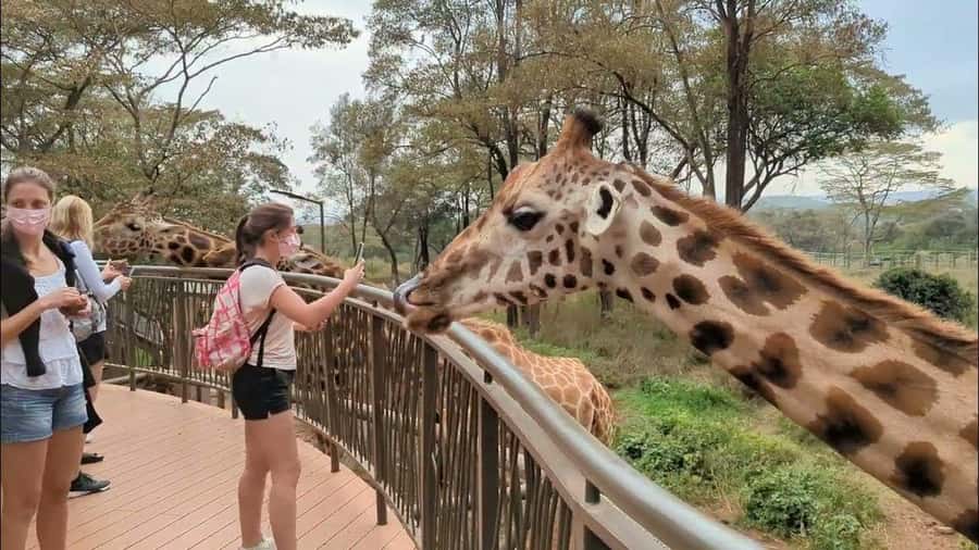 Karen Blixen, Beads Factory, Giraffe Center and Bomas Tour - Key points to know before booking
