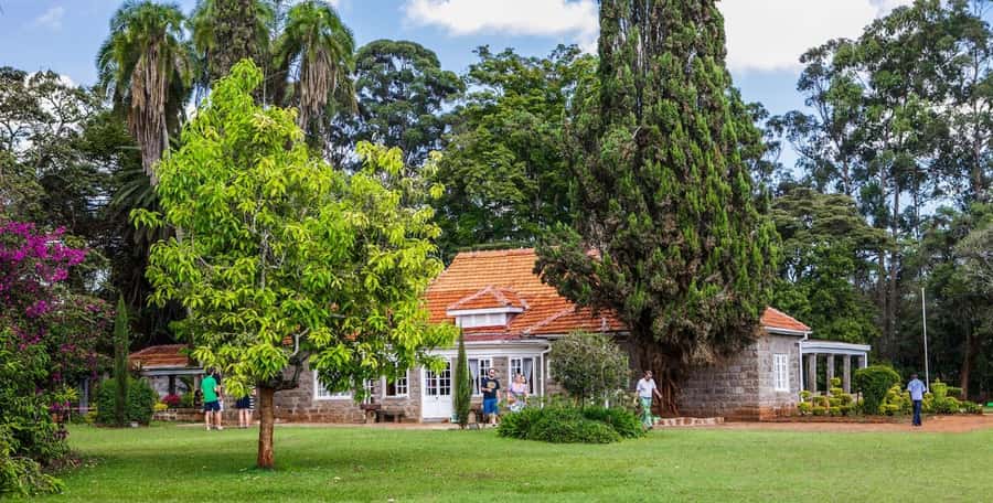 Karen Blixen, Beads Factory, Giraffe Center and Bomas Tour - Meeting Rothschild giraffes at the Giraffe Centre