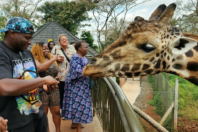 Karen Blixen Museum, Beads craft and Giraffe Day tour - Who will enjoy this day most?
