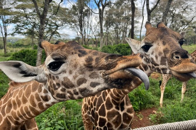 Karen Blixen Museum, Beads craft and Giraffe Day tour - Seeing the women’s craft process at Kobe Tough