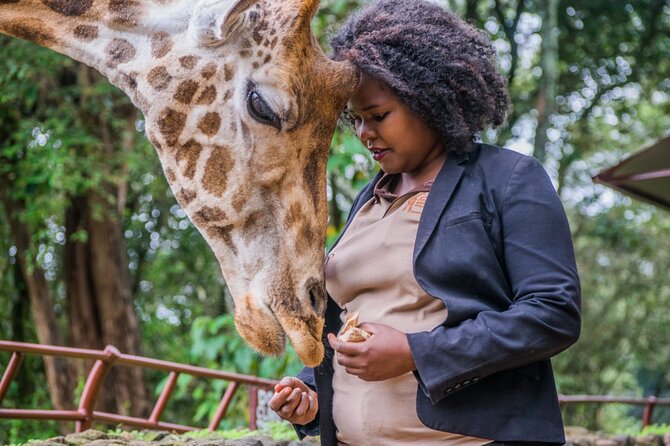 Karen Blixen Museum & Giraffe Centre Half day tour - Is $98.16 a fair price?