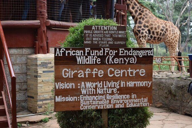Karen Blixen Museum & Giraffe Centre Half day tour - My practical verdict