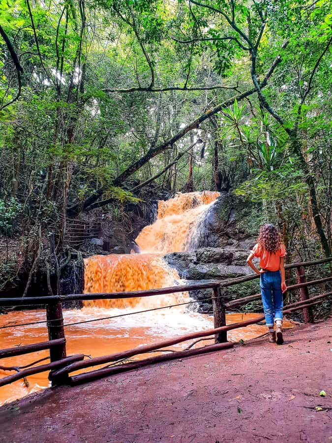 Karura forest A walking tour from Nairobi - Why Karura Forest makes sense in a Nairobi visit