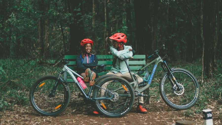 Karura forest A walking tour from Nairobi - Pickup through Nairobi and arrival at the forest