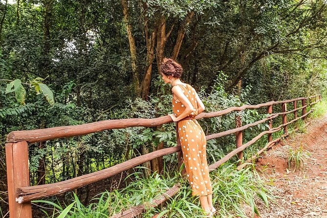 Karura Forest Hiking and Bike Tour - Key Points Before You Book