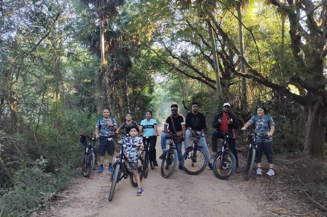 Karura Forest Hiking and Bike Tour - Picnic Benches, Lunch, and Breaks