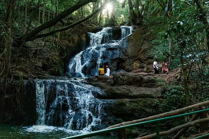 Karura Forest Hiking and Bike Tour - The 9 AM Hotel Pickup and Private Start