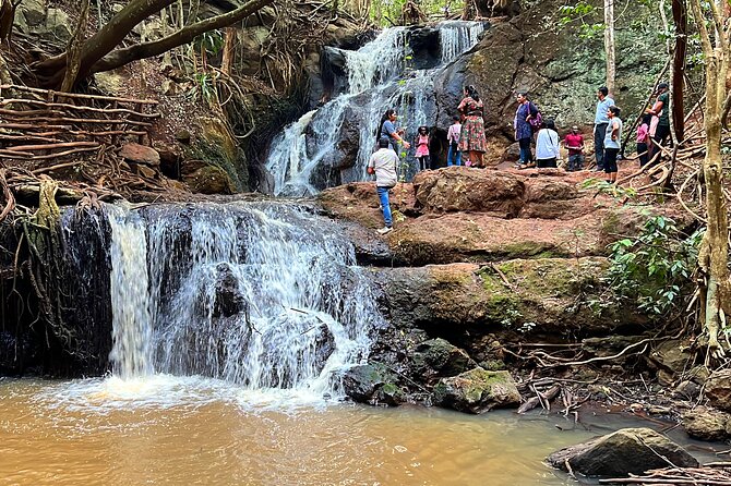 Karura Forest Nature Trail - Key points before you book