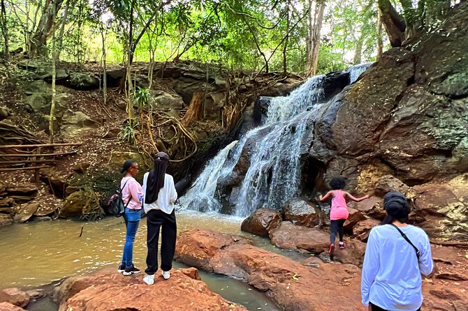 Karura Forest Nature Trail - A forest outing with room to choose your pace