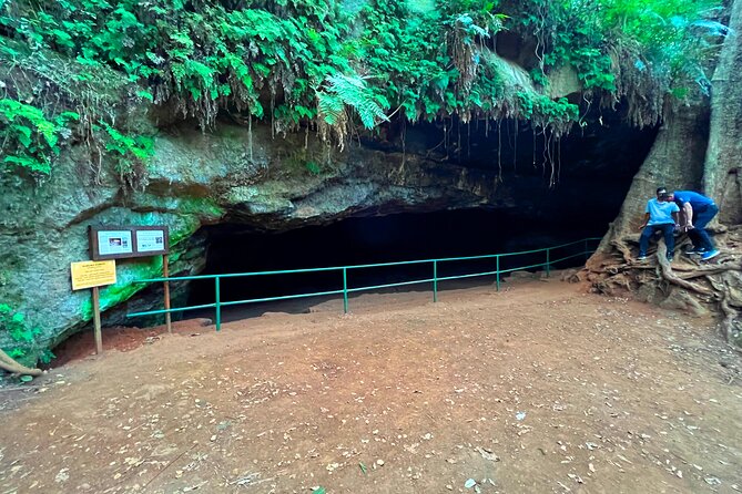 Karura Forest Nature Trail - Wildlife and bird-watching in an urban forest