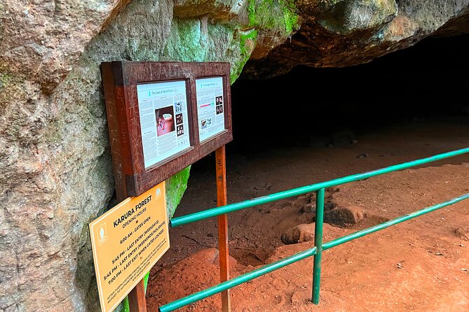 Karura Forest Nature Trail - Other activities and who they suit