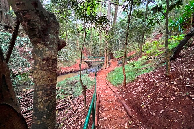Karura Forest Nature Trail - What to bring and what to clarify