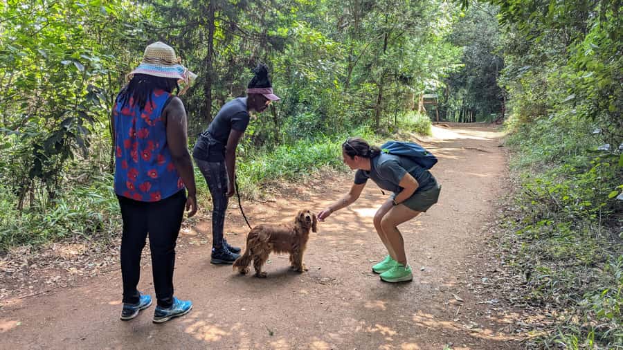 Karura Forest: Walking tour with Nature and Waterfalls. - The first 90 minutes: woodland trails and monkey territory