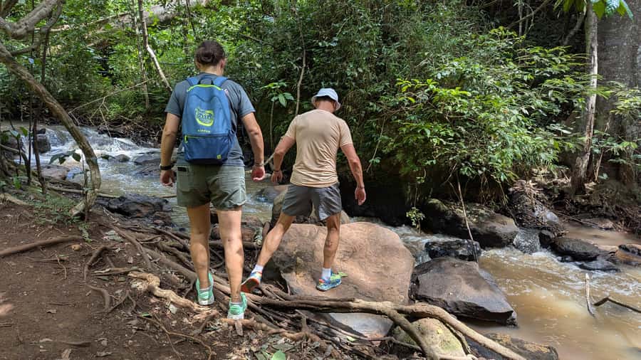 Karura Forest: Walking tour with Nature and Waterfalls. - Two waterfalls and the best photo opportunities